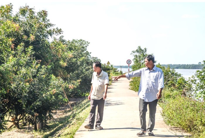 Hiệu quả từ Dự án Nâng cấp gia cố chống sạt lở đê bao cồn Tam Hiệp